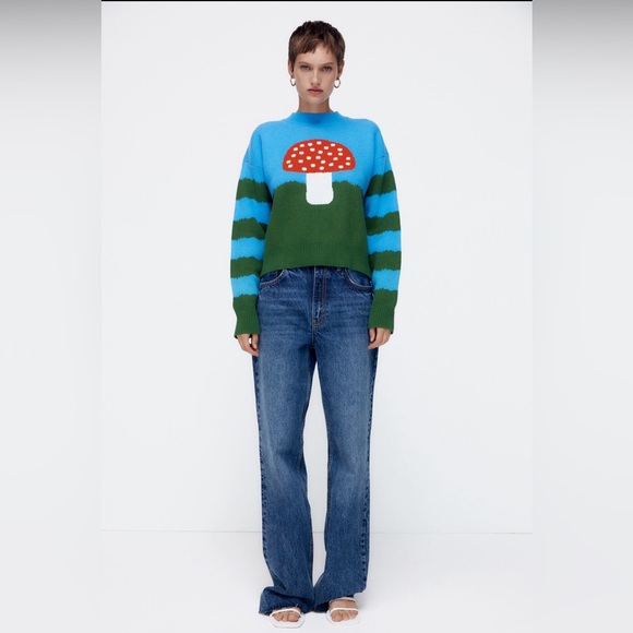 Zara sweater - Picture 1 of 3